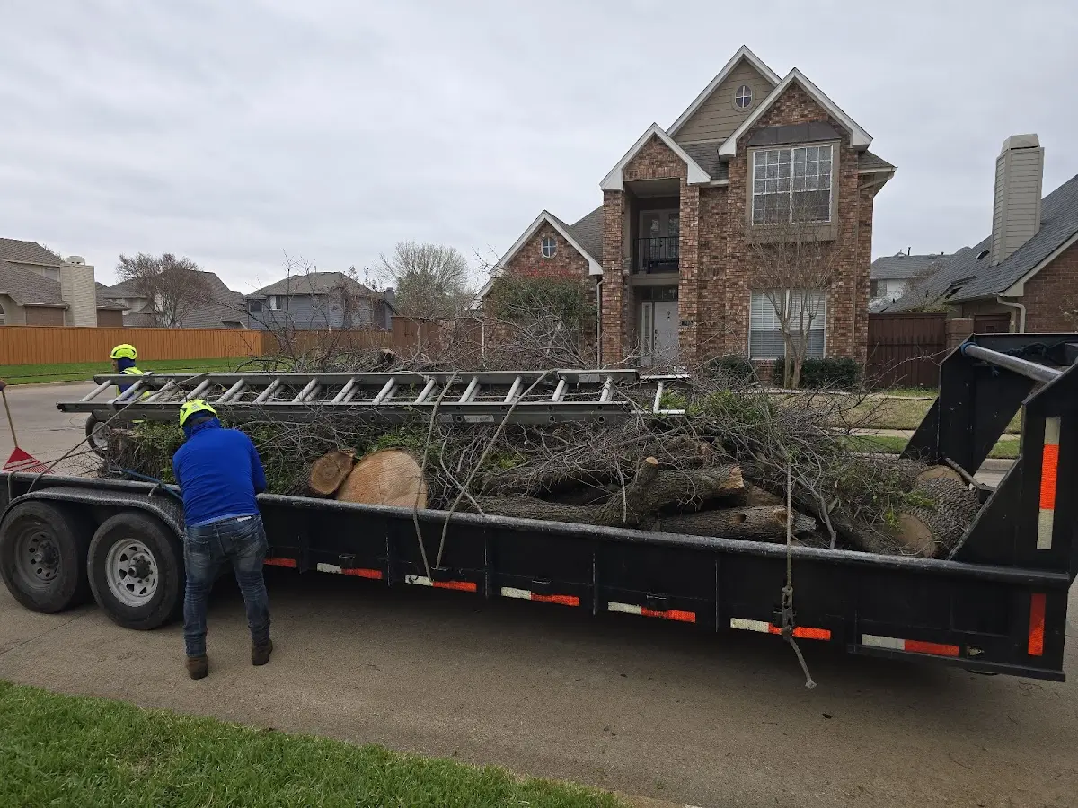 Expert Tree Fertilization with proper safety equipment in Denison
